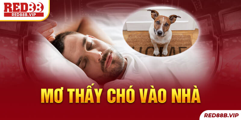 mơ thấy chó vào nhà