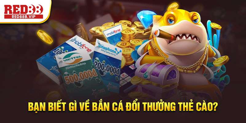 bắn cá đổi thưởng thẻ cào