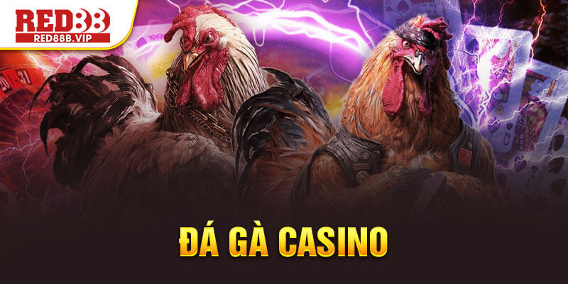 đá gà casino