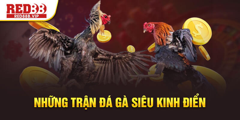 những trận đá gà siêu kinh điển