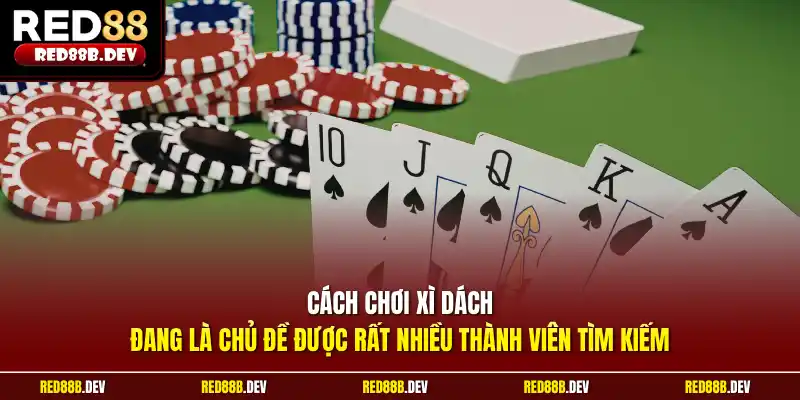 Cách chơi xì dách đang là chủ đề được rất nhiều thành viên tìm kiếm