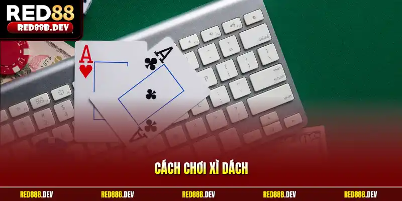 Cách Chơi Xì Dách