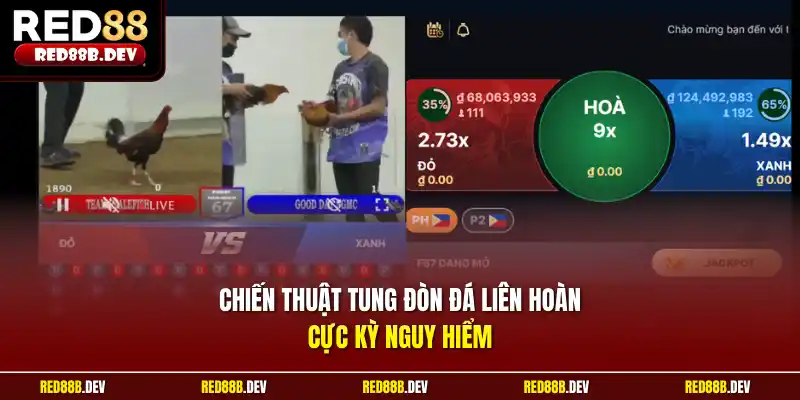 Chiến thuật tung đòn đá liên hoàn cực kỳ nguy hiểm