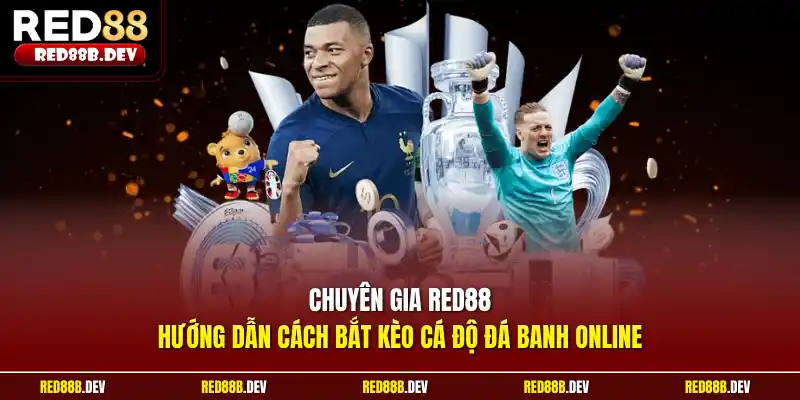 Chuyên gia Red88 hướng dẫn cách bắt kèo cá độ đá banh online