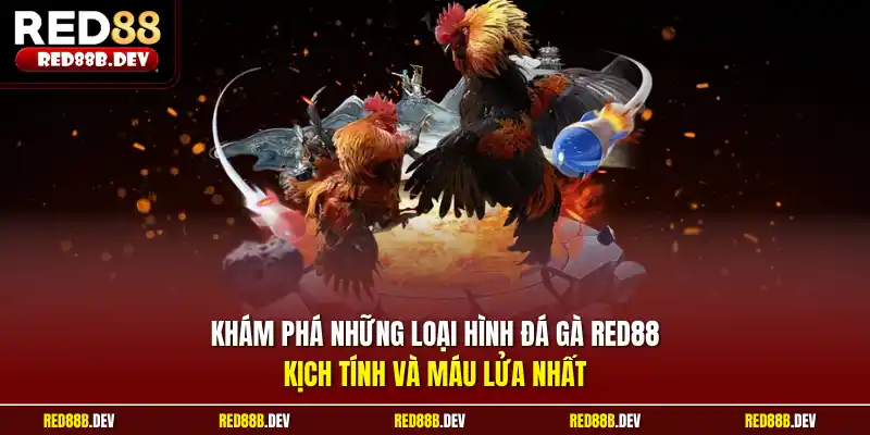 Khám phá những loại hình đá gà Red88 kịch tính và máu lửa nhất