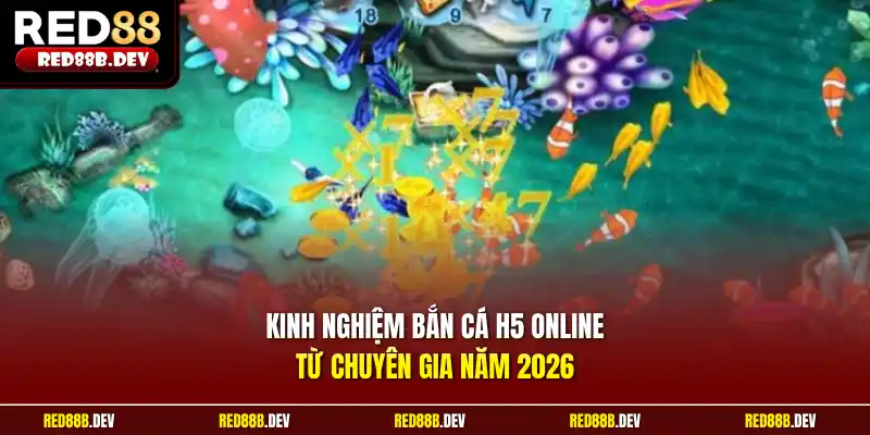 Kinh nghiệm bắn cá h5 online từ chuyên gia năm 2026