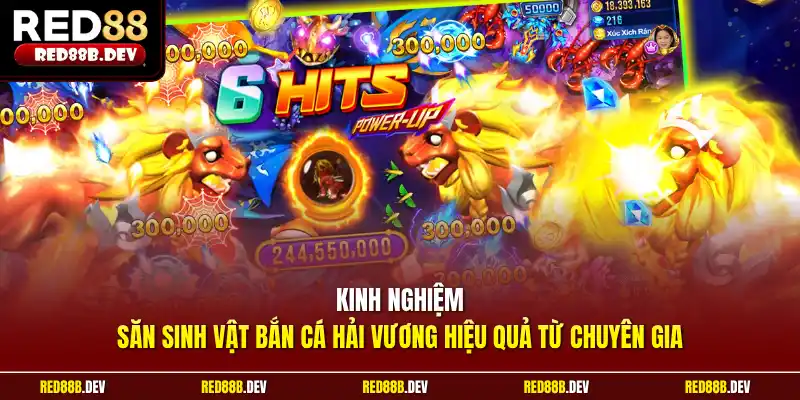Kinh nghiệm săn sinh vật bắn cá Hải Vương hiệu quả từ chuyên gia