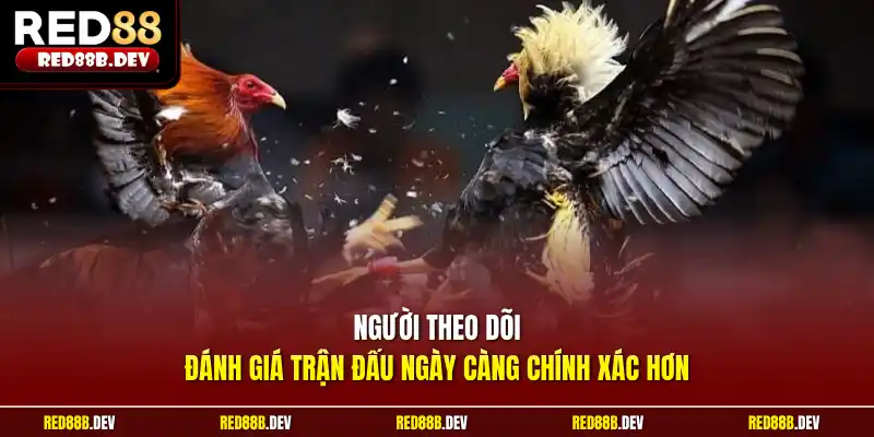Người theo dõi đánh giá trận đấu ngày càng chính xác hơn
