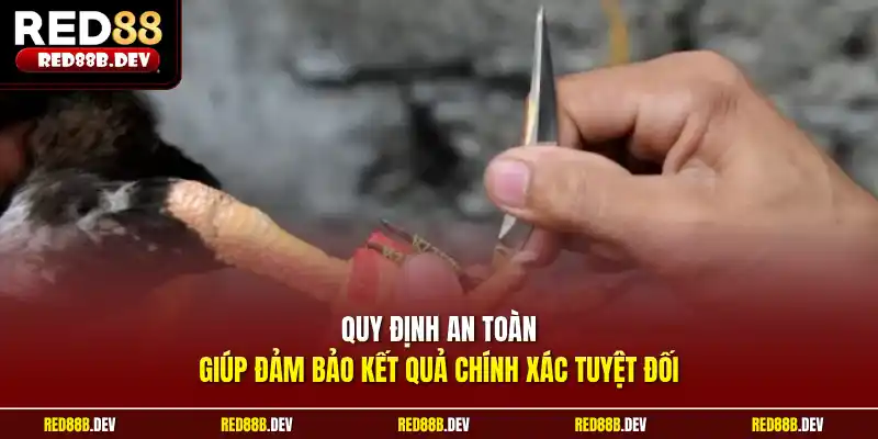 Quy định an toàn giúp đảm bảo kết quả chính xác tuyệt đối