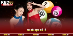 Soi cầu bạch thủ lô chuẩn